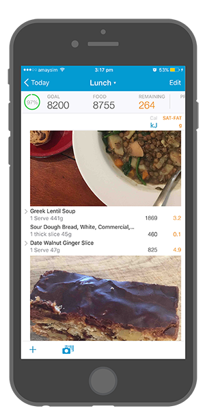 Easy Diet Diary Personal Diet Tracker Available On The App Store